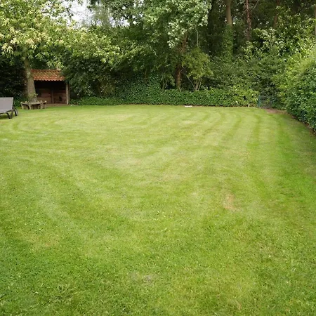 Feriehus Het Roodborstje 4-persoons *