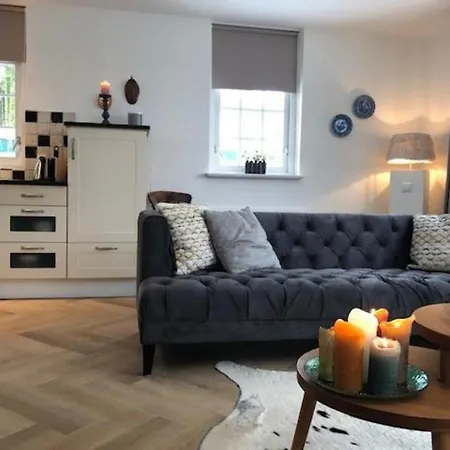 Het Roodborstje 4-persoons Feriehus Lievelde