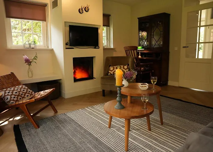 Het Roodborstje 4-persoons Holiday home Lievelde